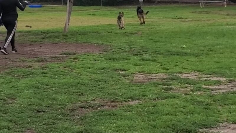 City Of Upland Dog Park - Upland, CA