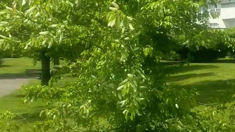 King's Grant Community Park - Upper Marlboro, MD