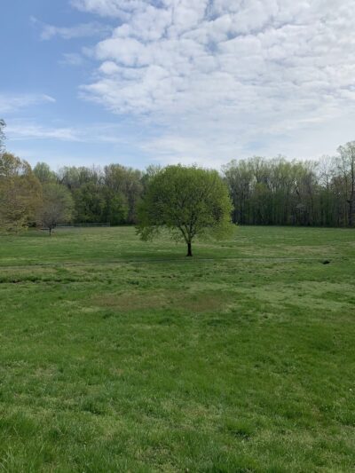 Marlboro Meadows Neighborhood Park - Upper Marlboro, MD