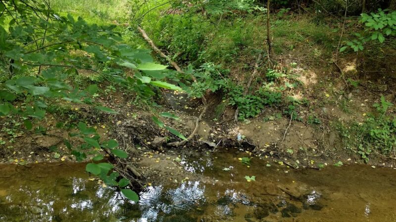 Marlton Community Park - Upper Marlboro, MD