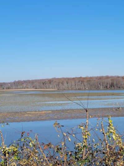 Patuxent River Park - Jug Bay Natural Area - Upper Marlboro, MD