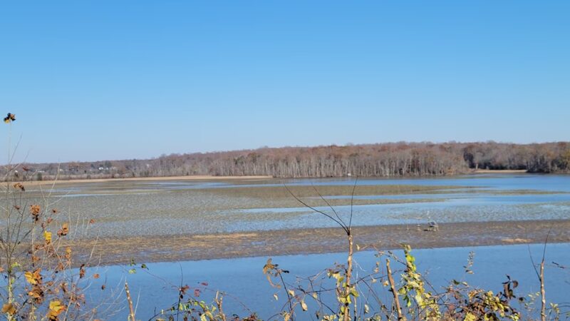 Patuxent River Park - Jug Bay Natural Area - Upper Marlboro, MD