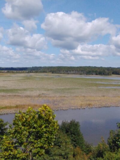 Patuxent River Park - Jug Bay Natural Area - Upper Marlboro, MD