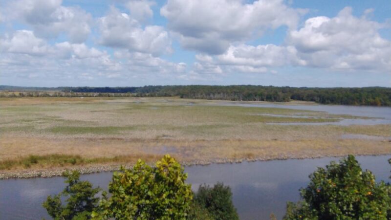 Patuxent River Park - Jug Bay Natural Area - Upper Marlboro, MD
