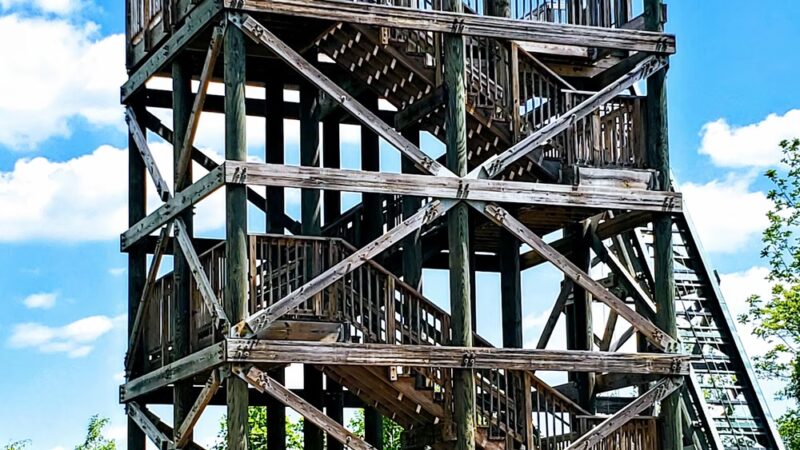 Patuxent River Park - Jug Bay Natural Area - Upper Marlboro, MD