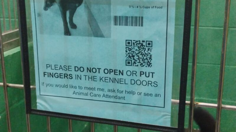 Prince George's County Animal Services Facility & Adoption Center - Upper Marlboro, MD