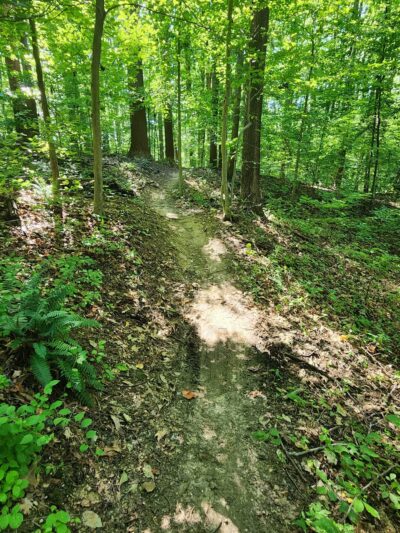 Rosaryville State Park - Upper Marlboro, MD