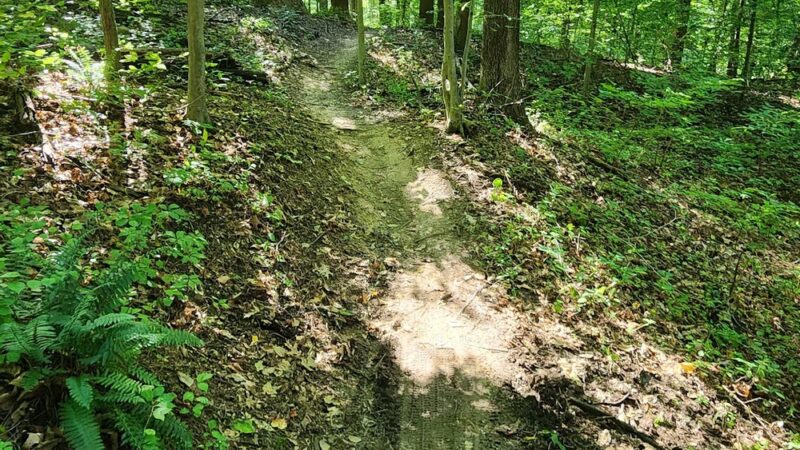 Rosaryville State Park - Upper Marlboro, MD