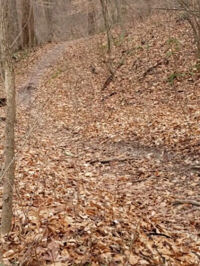 Rosaryville State Park - Upper Marlboro, MD