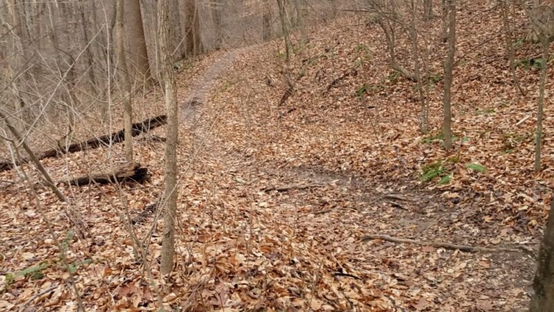 Rosaryville State Park - Upper Marlboro, MD