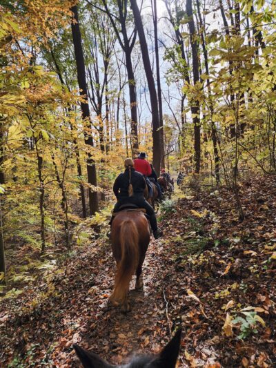 Rosaryville State Park - Upper Marlboro, MD