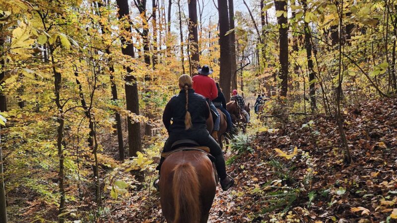 Rosaryville State Park - Upper Marlboro, MD
