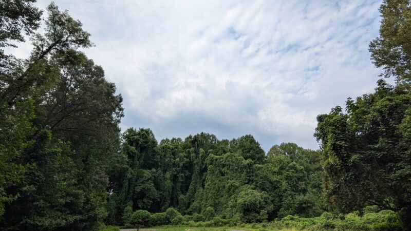 Rosaryville State Park - Upper Marlboro, MD