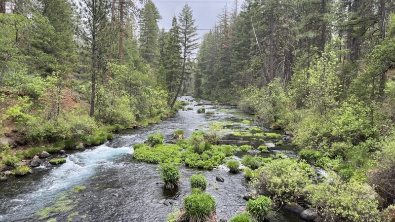 Burney Falls - US, CA
