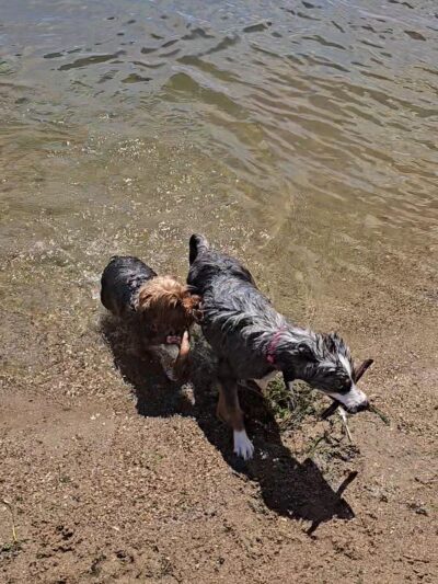 Madison Lake - US, MN