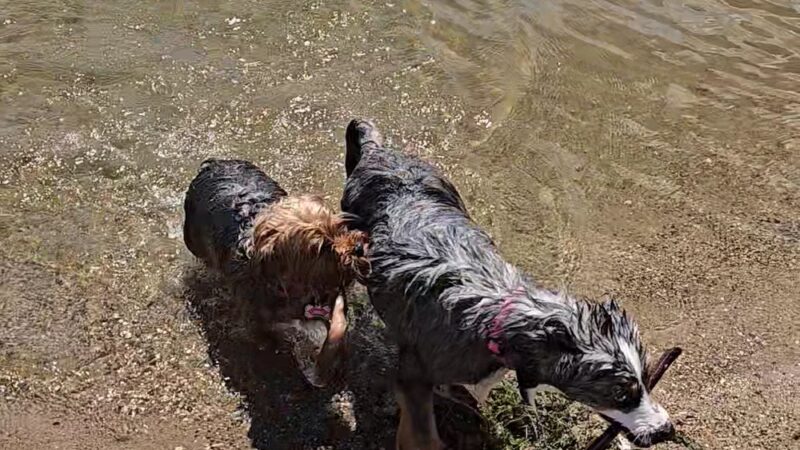 Madison Lake - US, MN