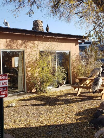 Faywood Hot Springs - US, NM