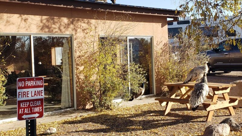 Faywood Hot Springs - US, NM