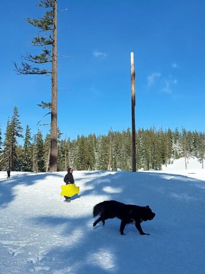 Mt. Bachelor Dog Park Off-Leash Area - US, OR