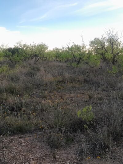 Scurry County Park Nature Trail - US, TX
