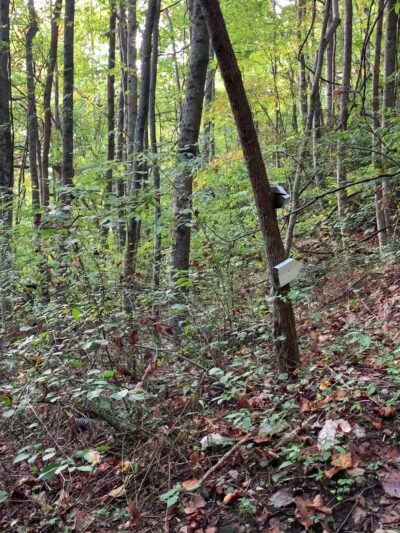 Devil's Den Trailhead - US, VA