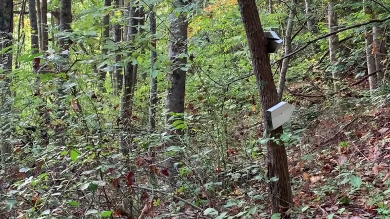 Devil's Den Trailhead - US, VA