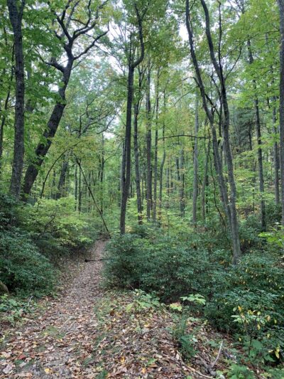 Devil's Den Trailhead - US, VA