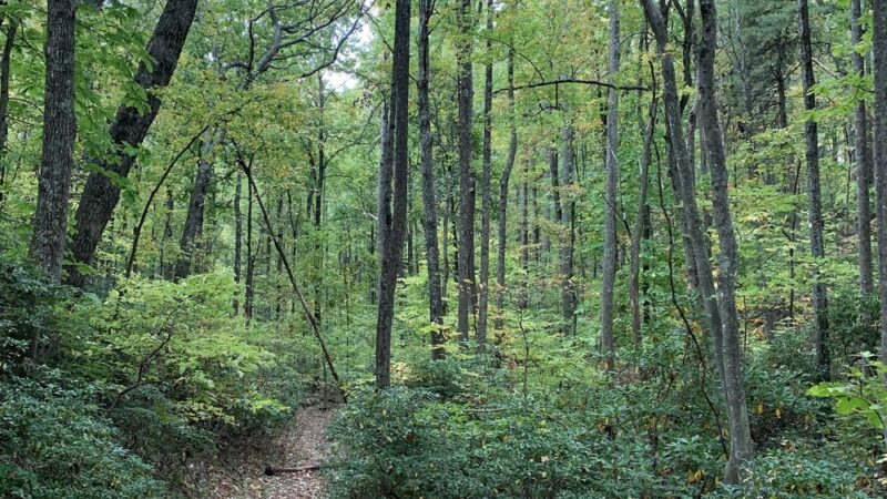 Devil's Den Trailhead - US, VA
