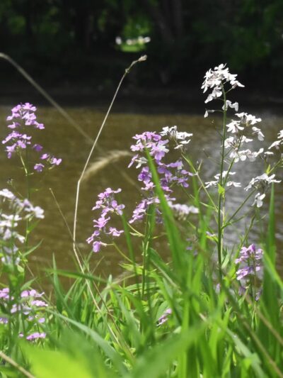 Utica Boat Launch - Utica, PA