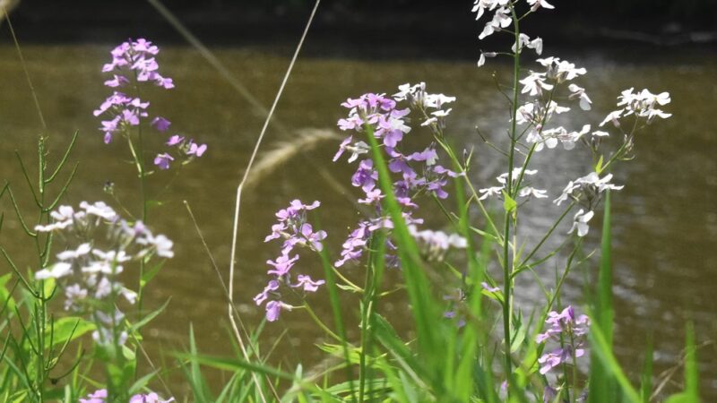 Utica Boat Launch - Utica, PA