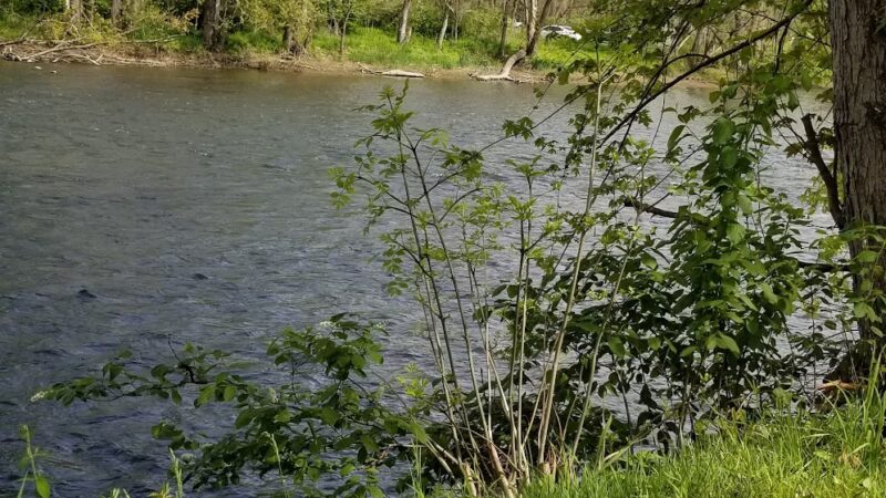 Utica Boat Launch - Utica, PA