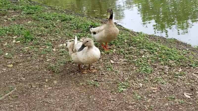 Uvalde Memorial Park - Uvalde, TX