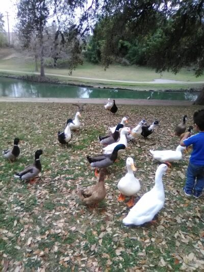 Uvalde Memorial Park - Uvalde, TX