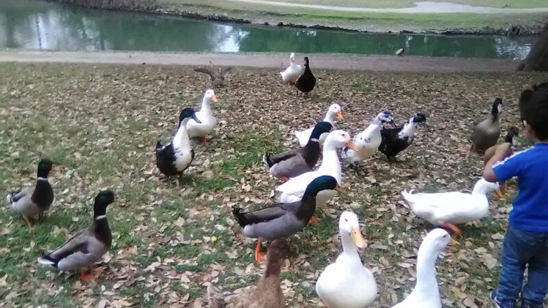 Uvalde Memorial Park - Uvalde, TX