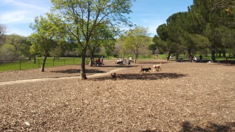 Lagoon Park Dog Park - Vacaville, CA
