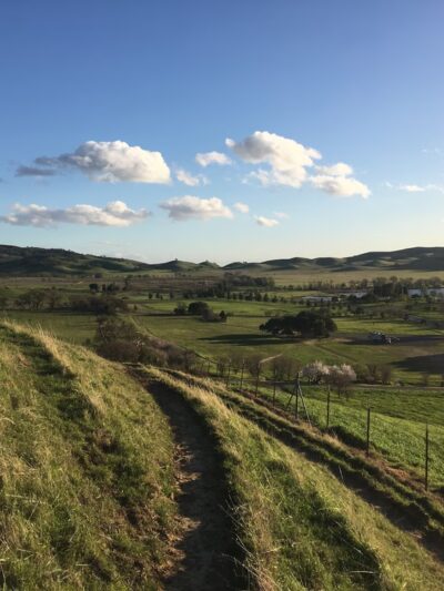Lagoon Park Dog Park - Vacaville, CA