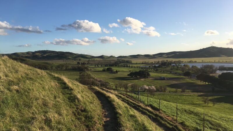 Lagoon Park Dog Park - Vacaville, CA