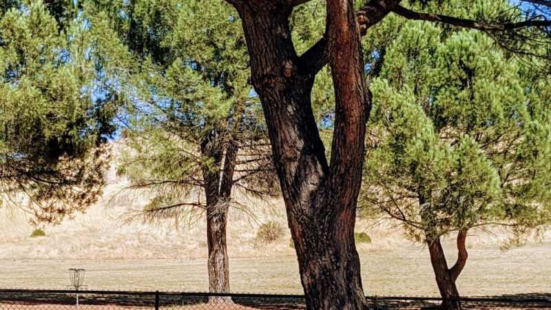 Lagoon Park Dog Park - Vacaville, CA