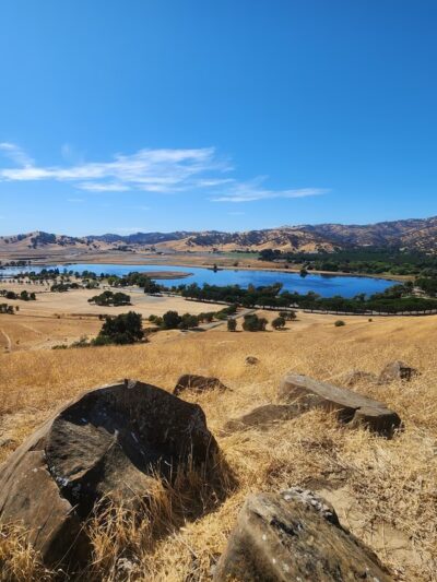 Lagoon Park Dog Park - Vacaville, CA