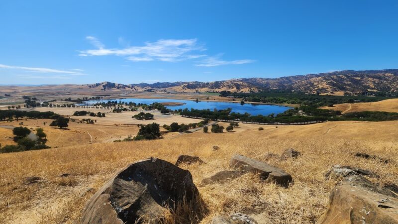 Lagoon Park Dog Park - Vacaville, CA