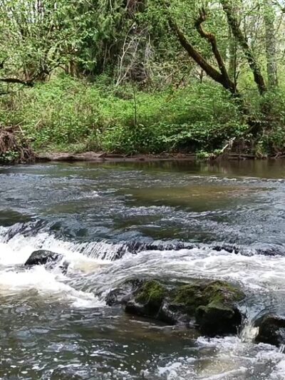 J.K. Werden Memorial Park - Vader, WA