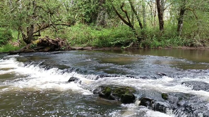 J.K. Werden Memorial Park - Vader, WA