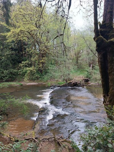J.K. Werden Memorial Park - Vader, WA