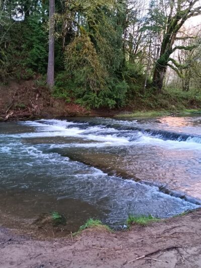 McMurphy Park - Vader, WA