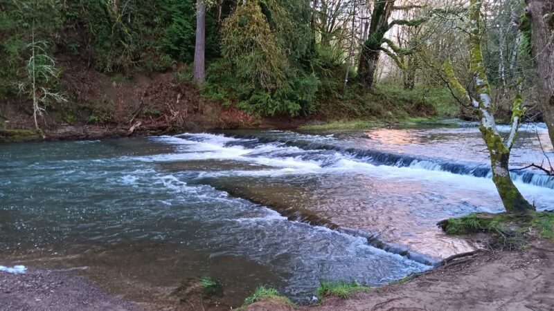 McMurphy Park - Vader, WA
