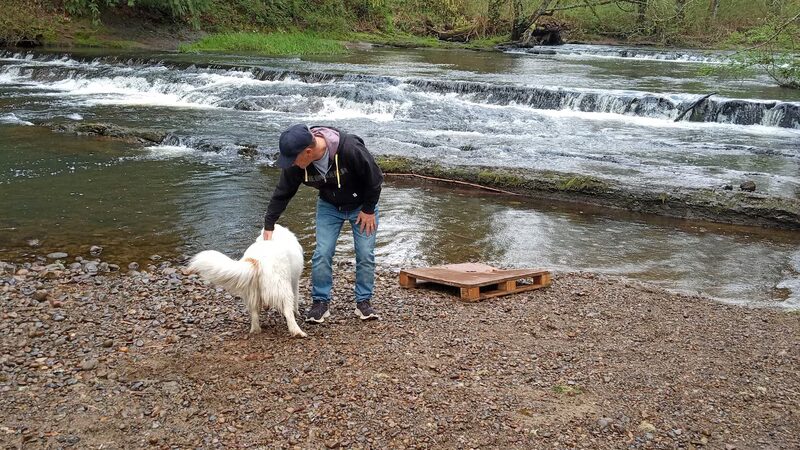 McMurphy Park - Vader, WA