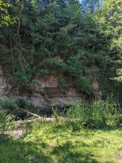 McMurphy Park - Vader, WA