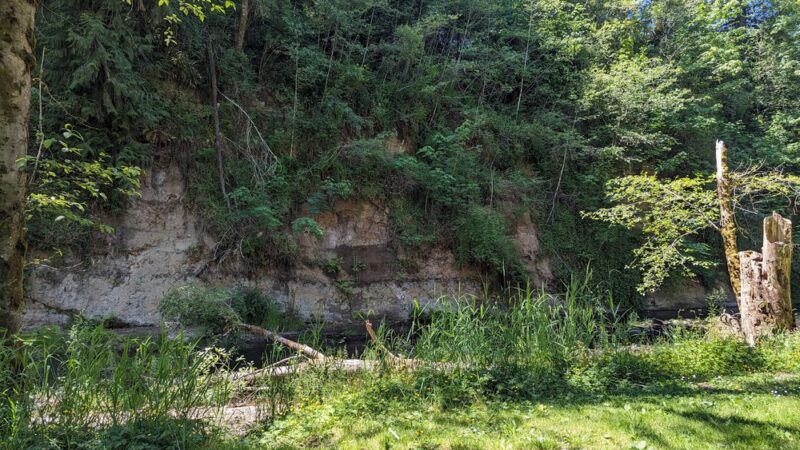 McMurphy Park - Vader, WA