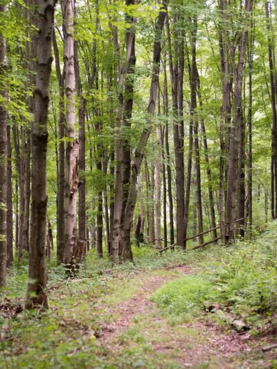 Glade Run Lake Conservancy - Valencia, PA