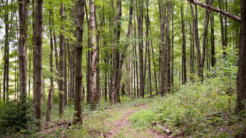 Glade Run Lake Conservancy - Valencia, PA